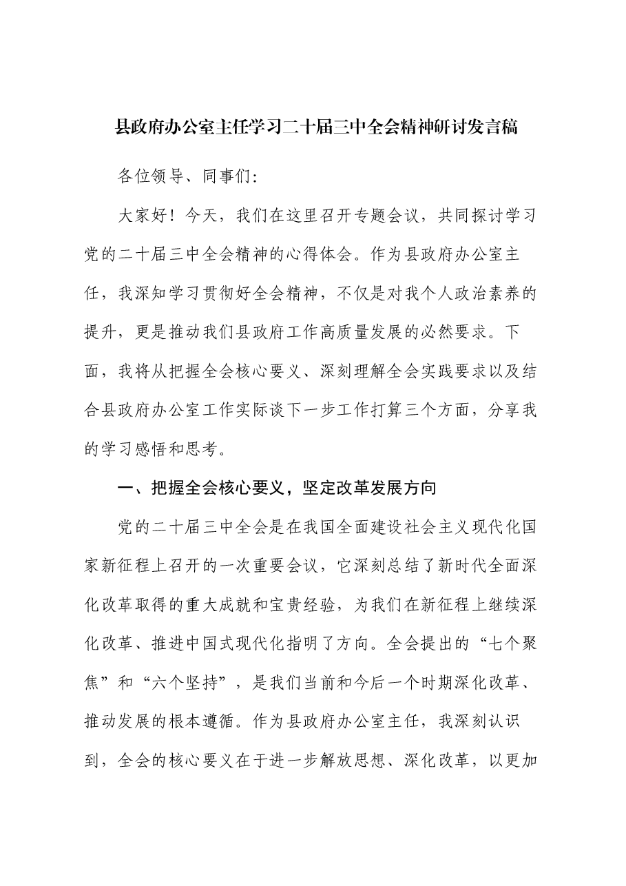县政府办公室主任学习二十届三中全会精神研讨发言稿.docx,第1页预览