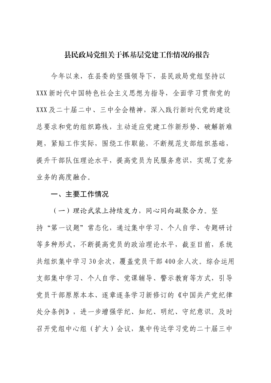 县民政局党组关于抓基层党建工作情况的报告.docx,第1页预览