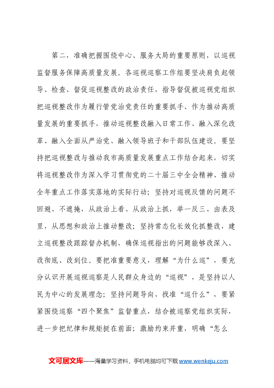 在全市巡视巡察工作会议上的讲话提纲.docx,第4页预览