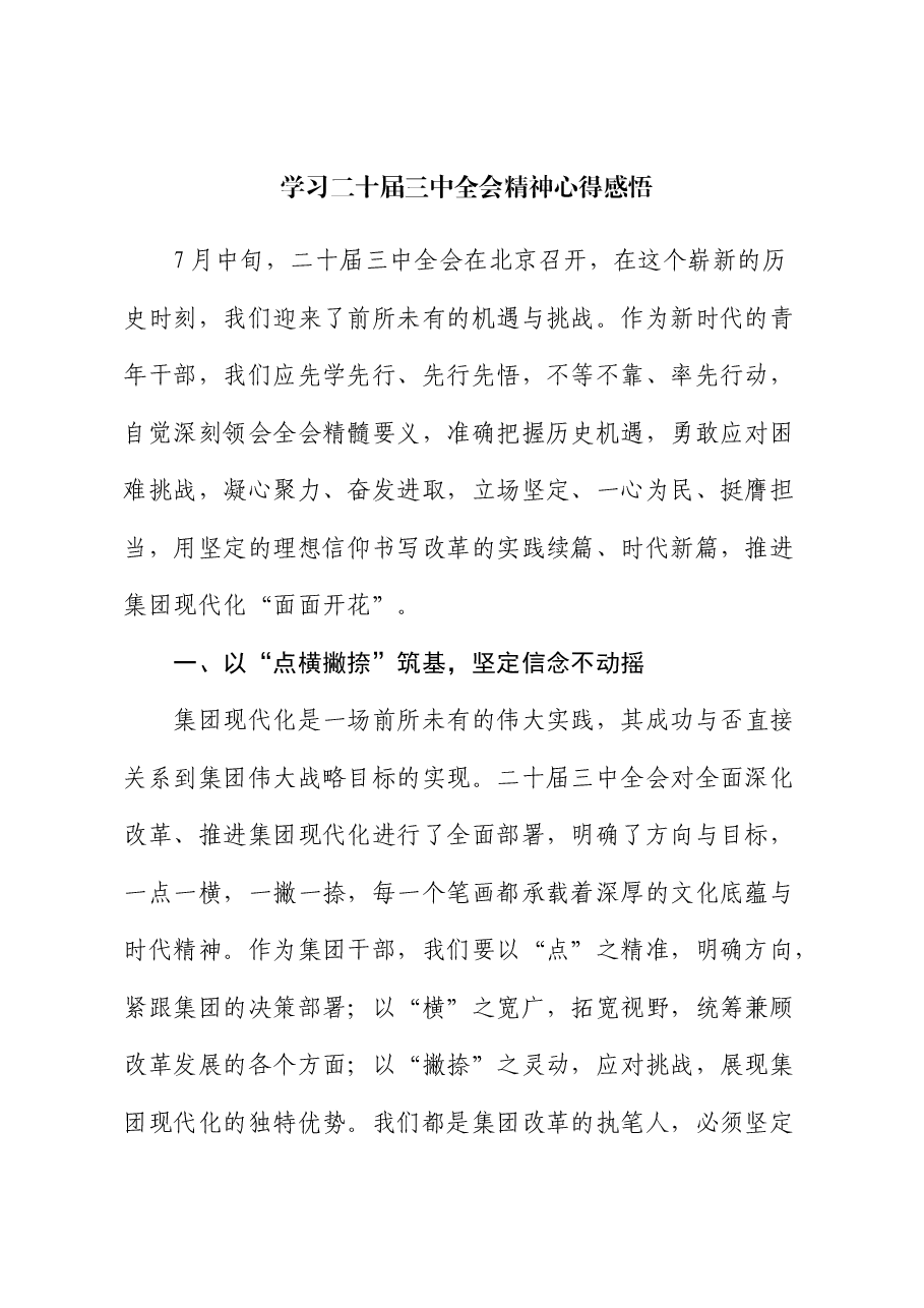 学习二十届三中全会精神心得感悟 (2).docx,第1页预览