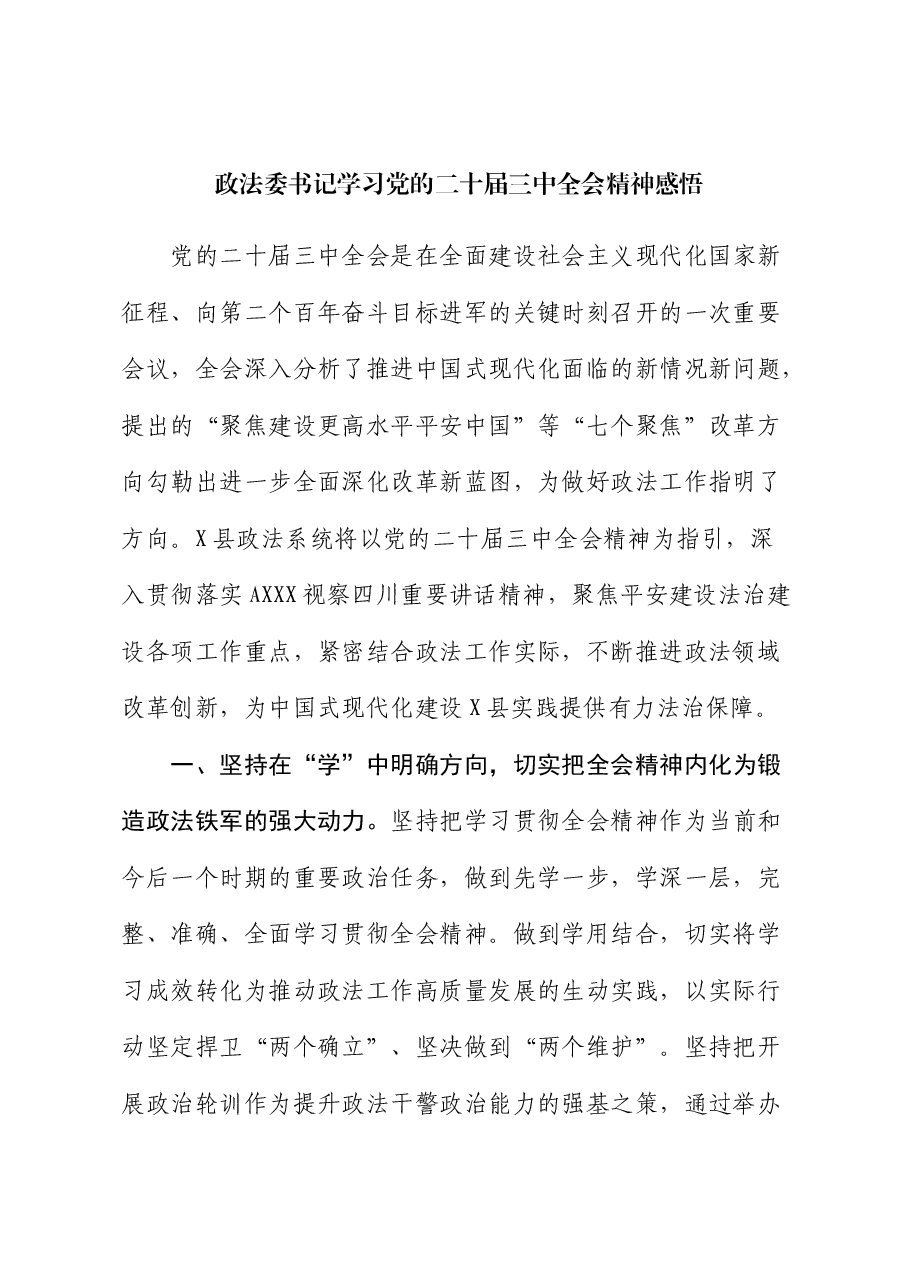 政法委书记学习三中全会精神心得体会发言.docx,第1页预览