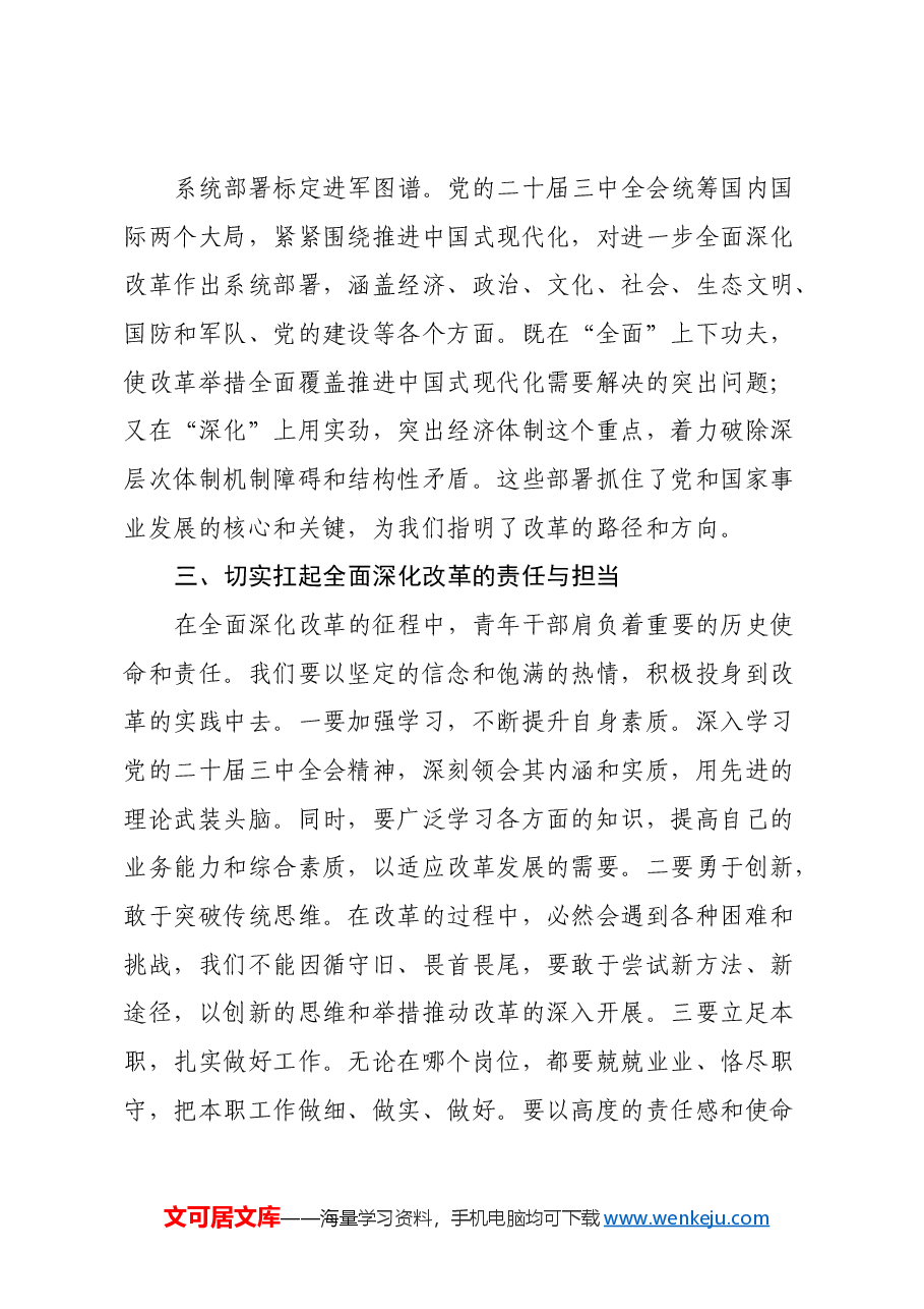 青年干部学习党的二十届三中全会精神心得体会.docx,第4页预览