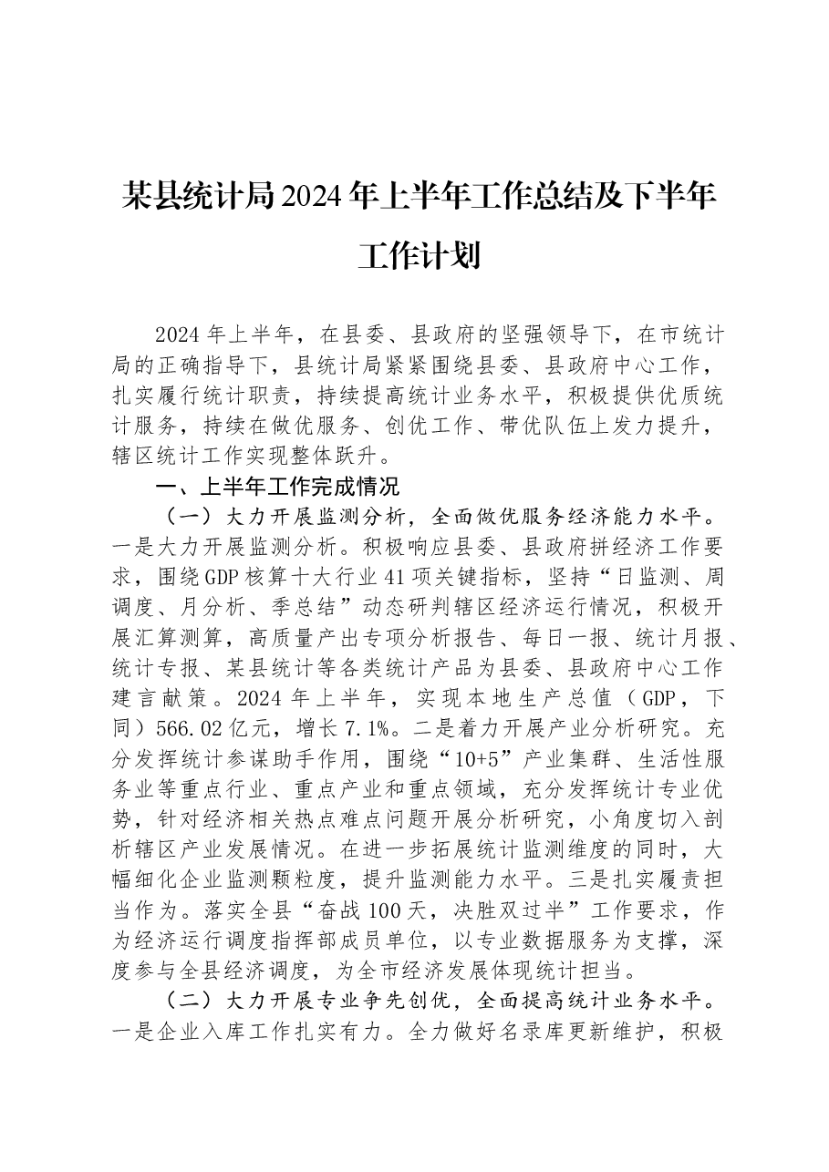某县统计局2024年上半年工作总结及下半年工作计划.docx,第1页预览