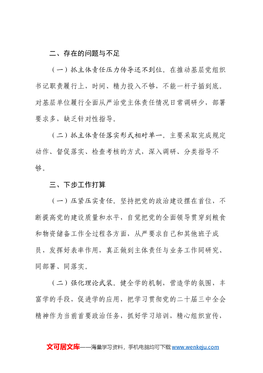 “一把手”2024年以来履行全面从严治党主体责任情况报告.docx,第4页预览