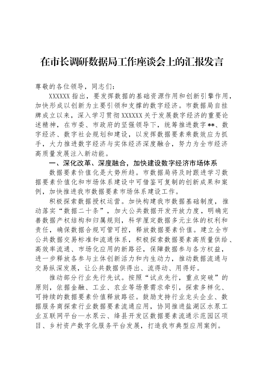 在市长调研数据局工作座谈会上的汇报发言.docx,第1页预览