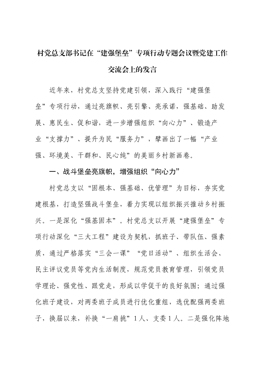 村党总支部书记在“建强堡垒”专项行动专题会议暨党建工作交流会上的发言.docx，第1页预览