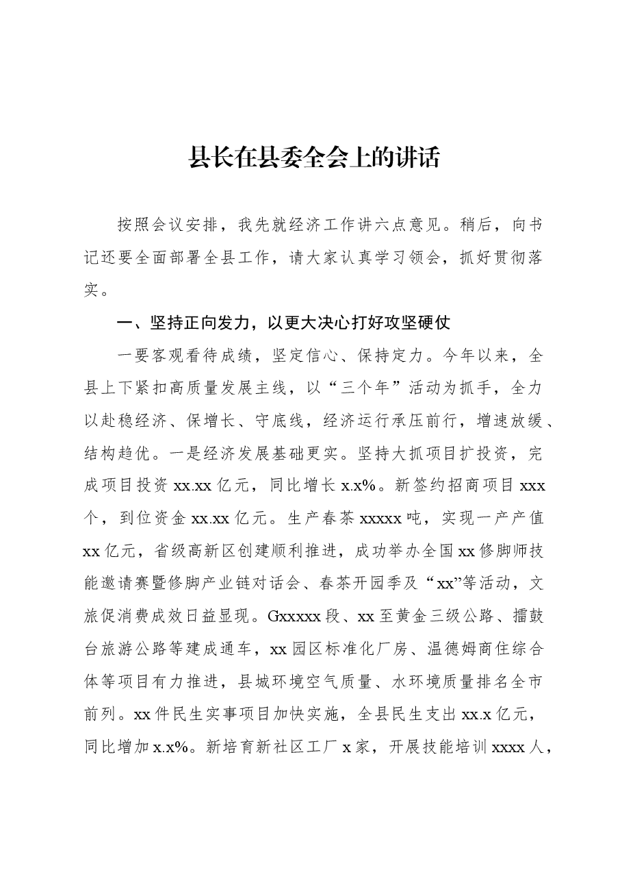 （3篇）在县委全会上的报告汇编.docx，第2页预览