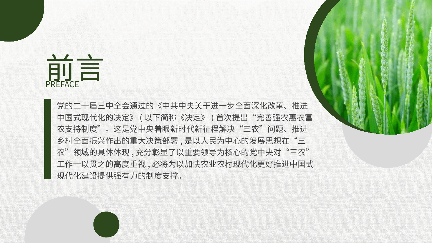 二十届三中全会精神要点解读党课PPT+讲稿:关于完善强农惠农富农支持制度.pptx,第2页预览