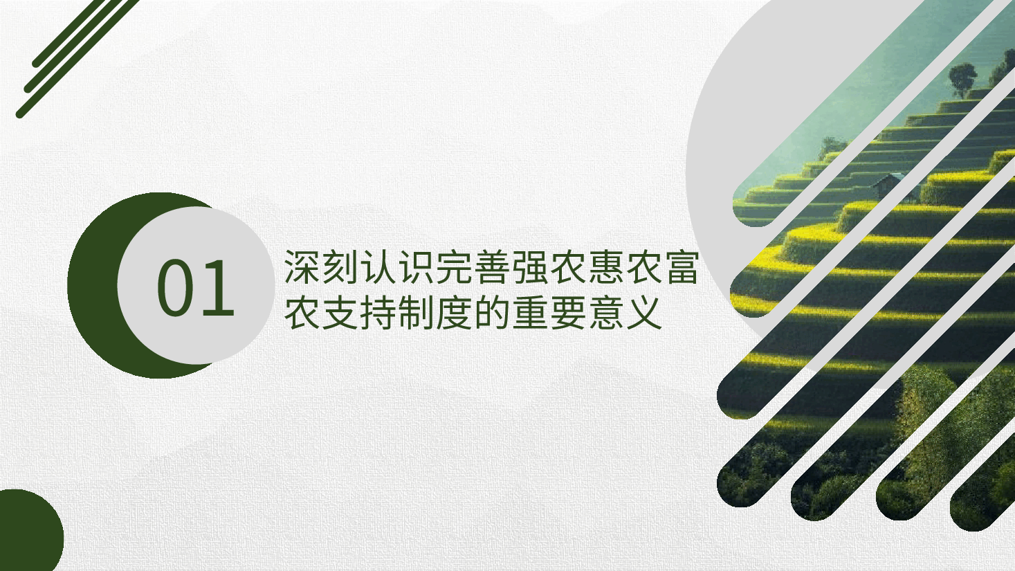 二十届三中全会精神要点解读党课PPT+讲稿:关于完善强农惠农富农支持制度.pptx,第4页预览