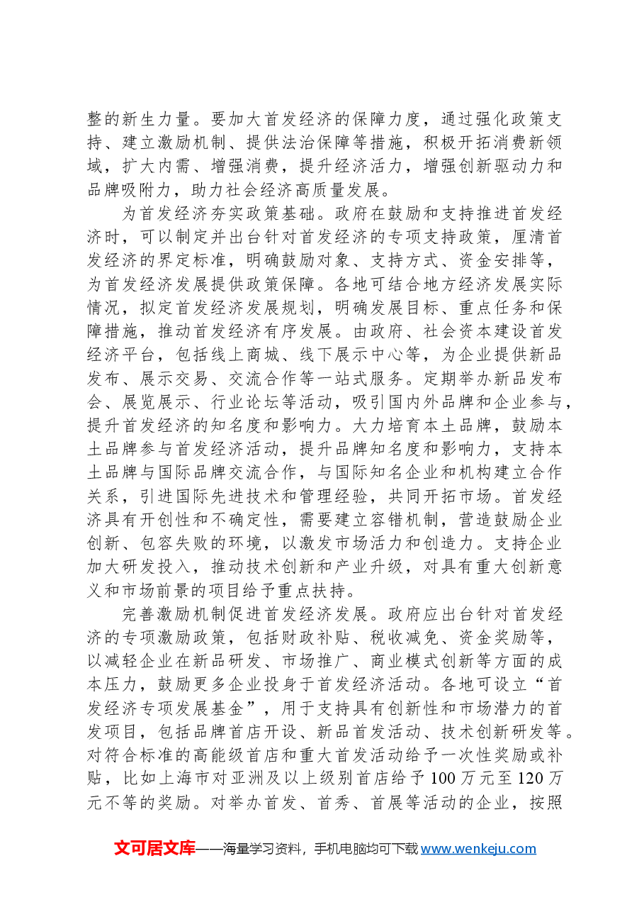 促进首发经济研讨发言稿.docx,第2页预览