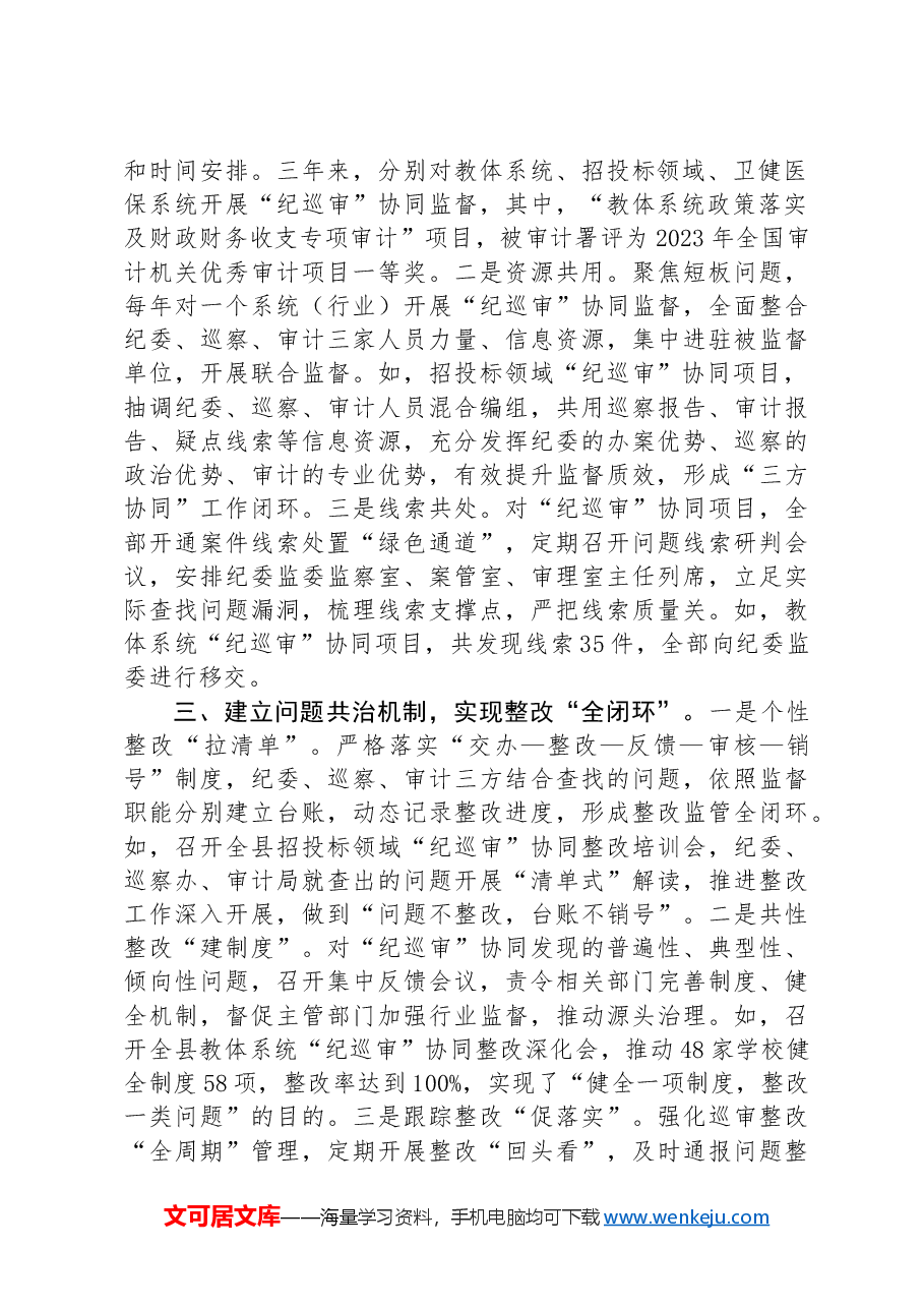 在2024年全市“纪巡审”联席会议上的交流发言.docx,第2页预览