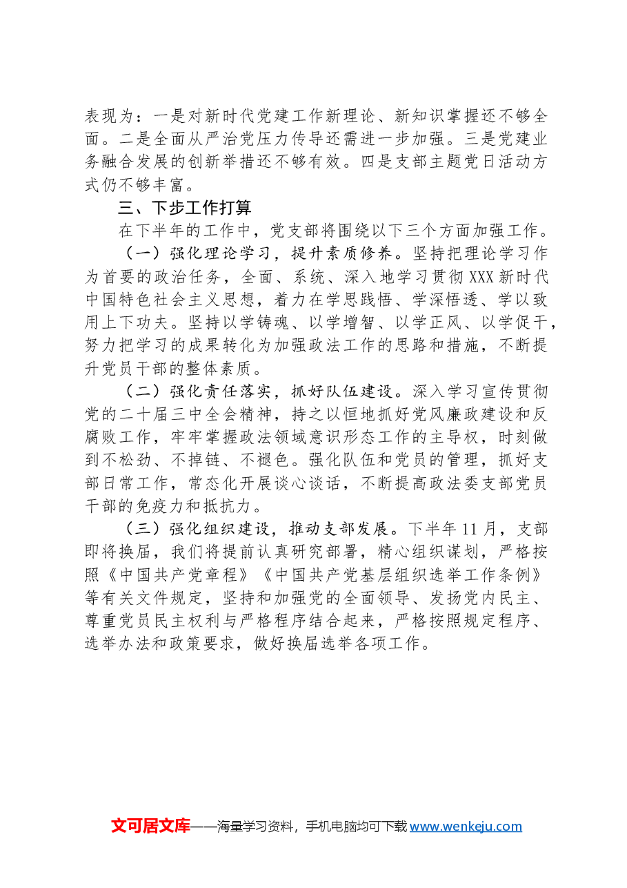 党支部书记2024年度上半年党建述职报告.docx,第4页预览