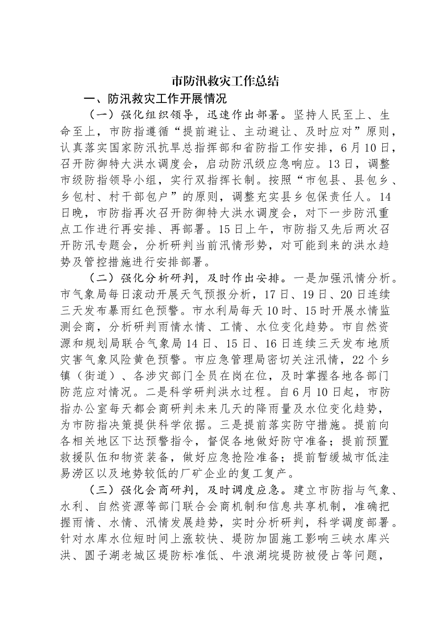 市防汛救灾工作总结.docx,第1页预览