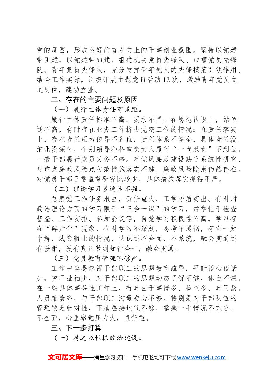 2024年党组织书记履行全面从严治党第一责任人责任述职报告.docx,第2页预览