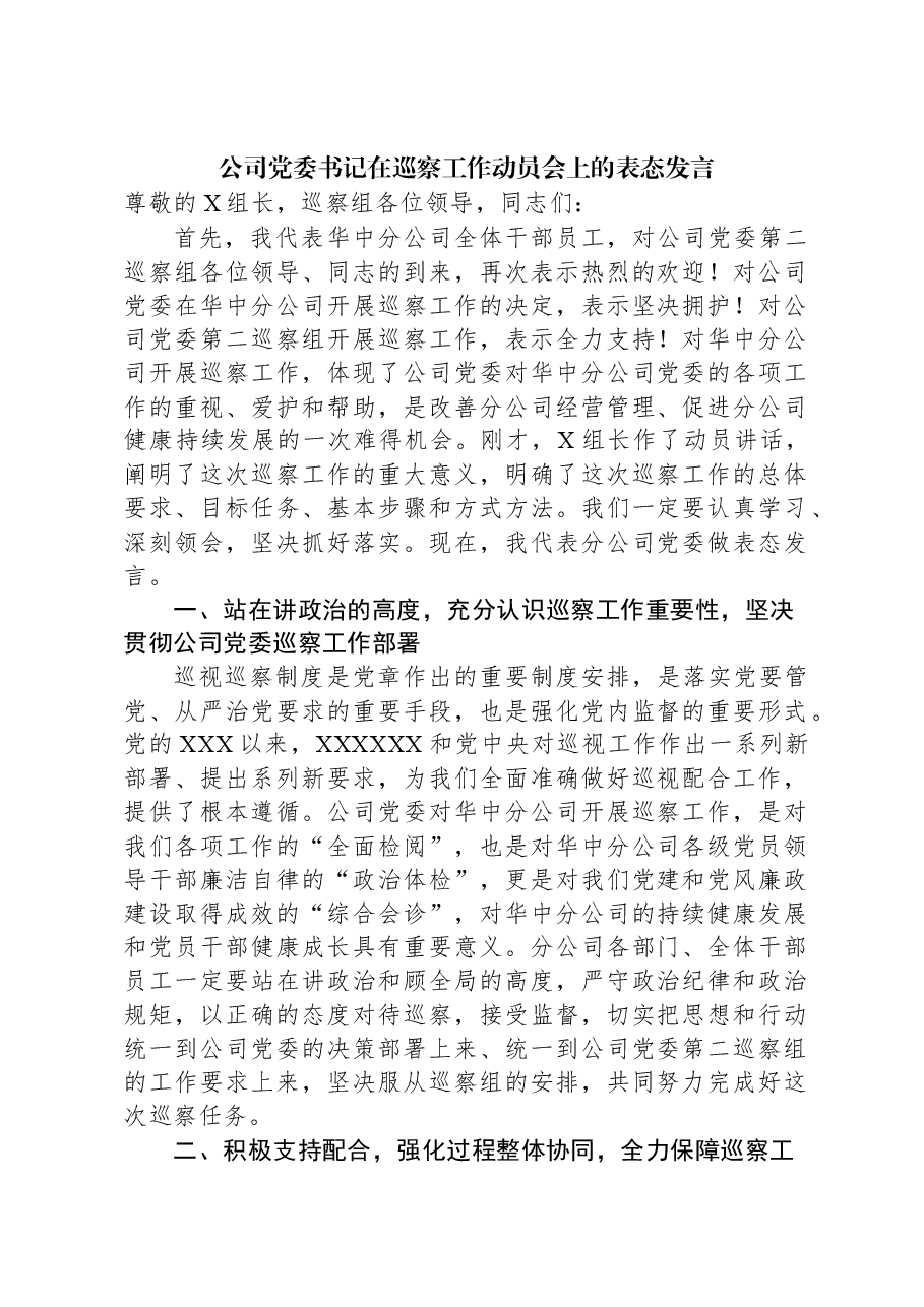 公司党委书记在巡察工作动员会上的表态发言.docx,第1页预览