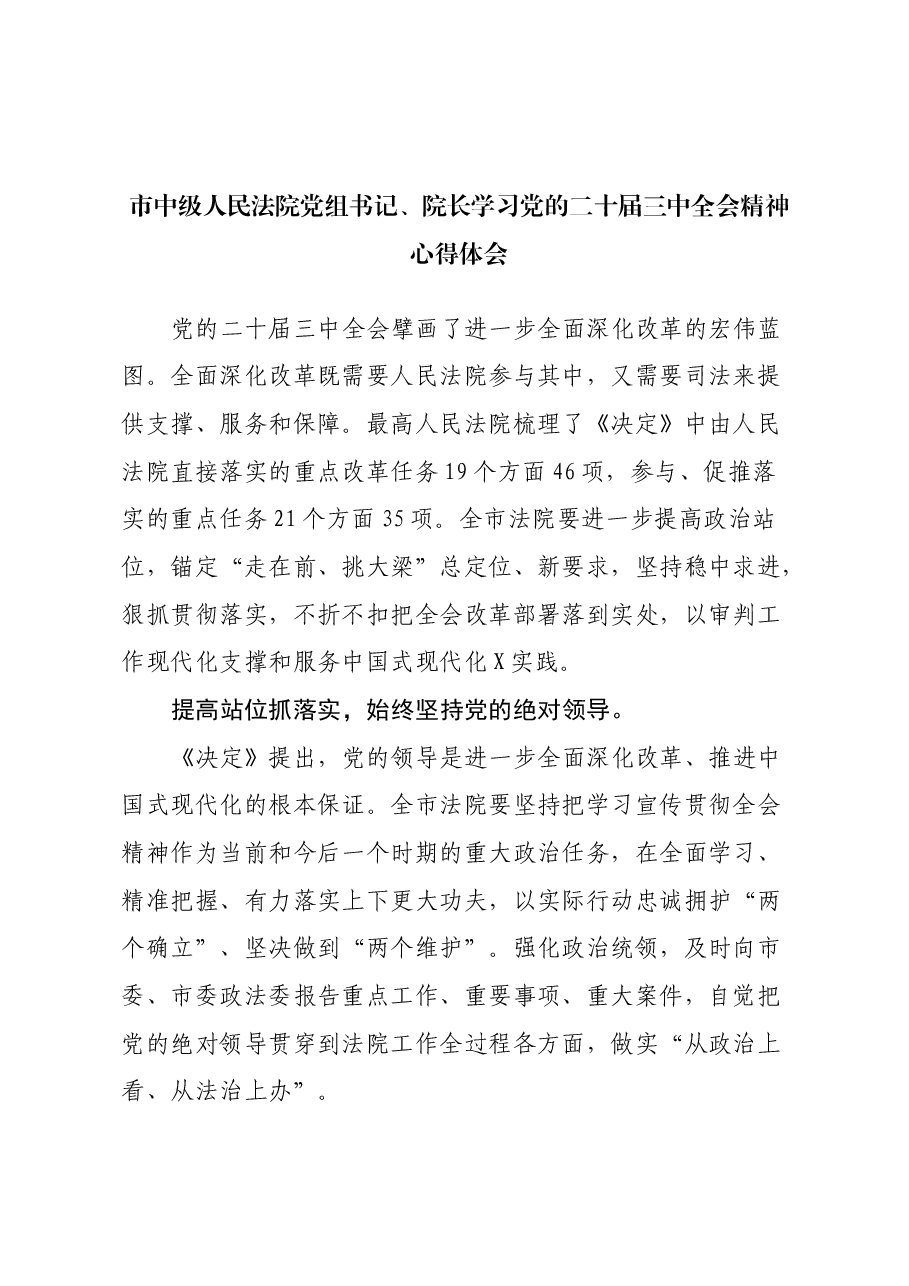 市中级人民法院党组书记、院长学习党的二十届三中全会精神心得体会.docx，第1页预览