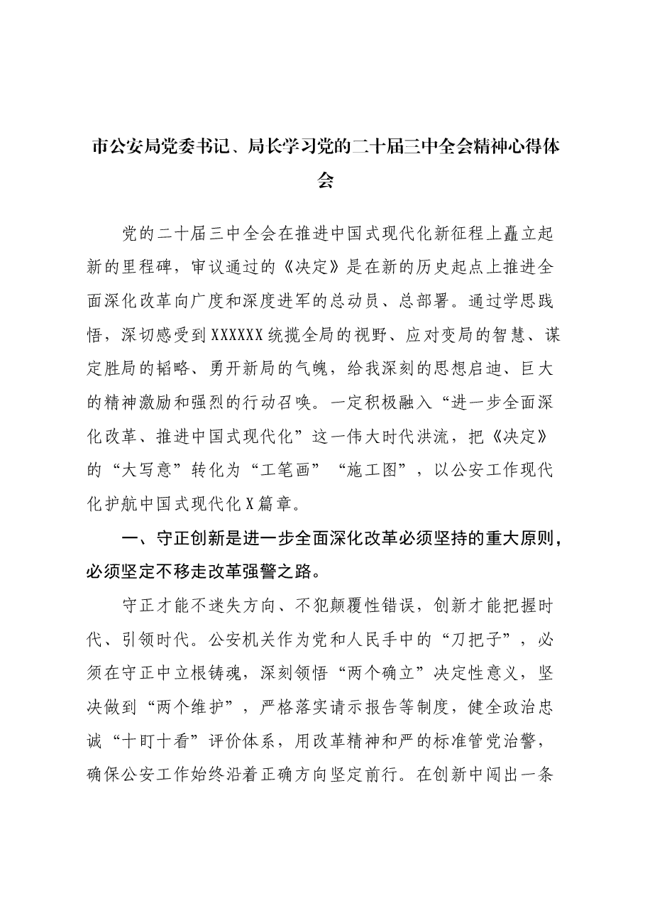 市公安局党委书记、局长学习党的二十届三中全会精神心得体会.docx,第1页预览