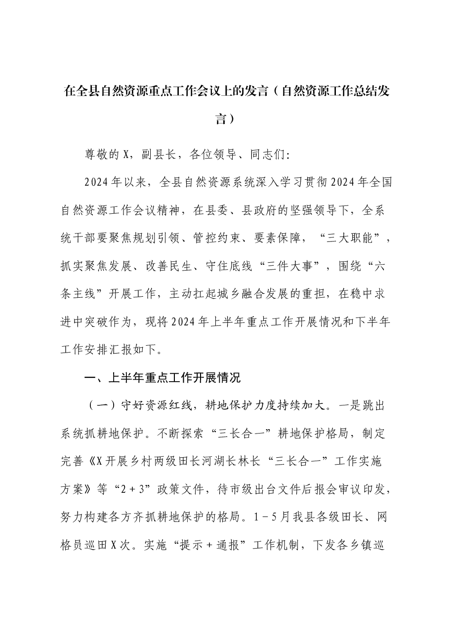 在全县自然资源重点工作会议上的发言(自然资源工作总结).docx,第1页预览