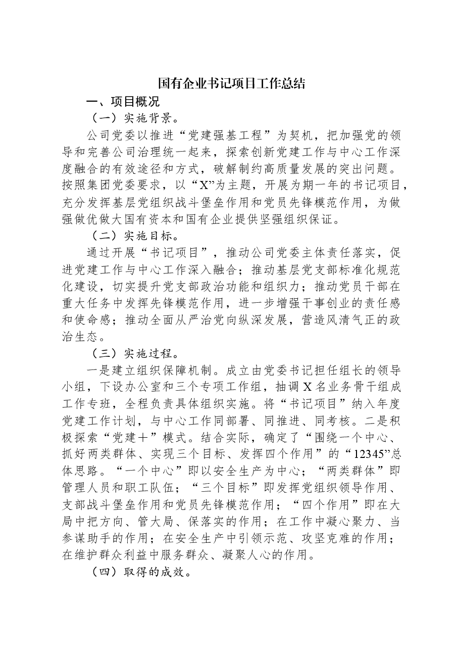 国有企业书记项目工作总结.docx,第1页预览