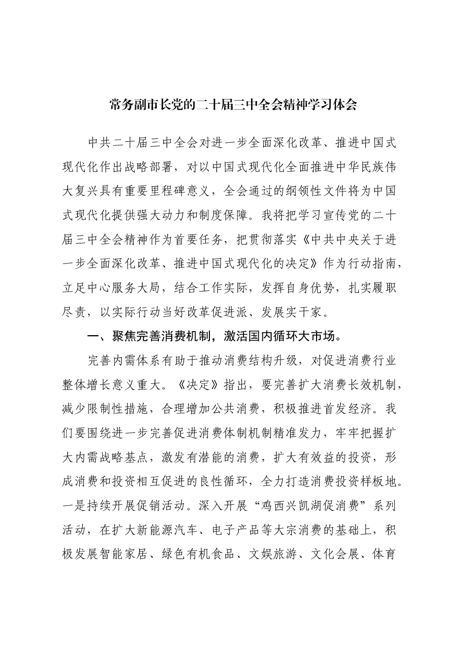常务副市长党的二十届三中全会精神学习体会.docx,第1页预览