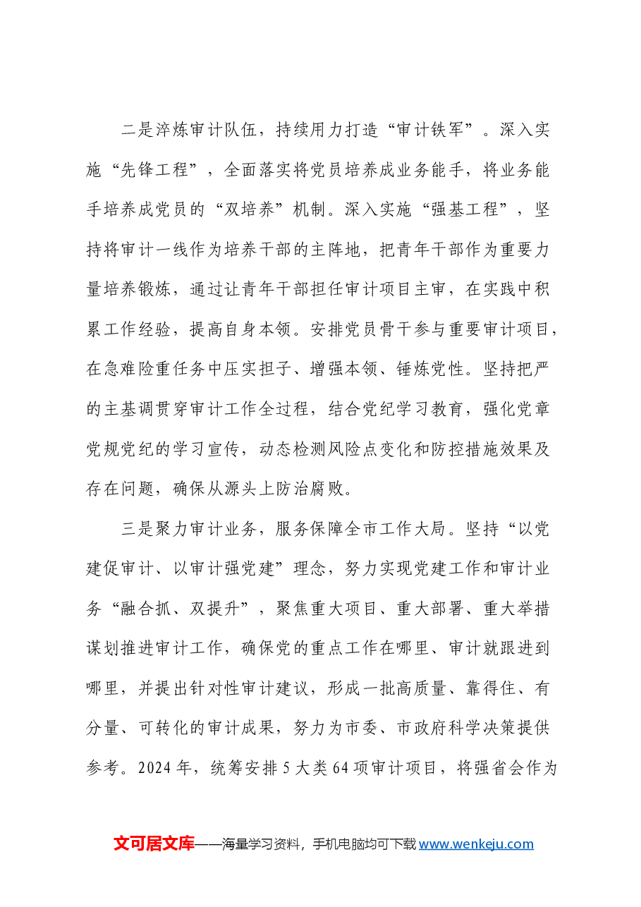 市审计局党组书记交流发言:党建引领 品牌聚能 推动审计工作高质量发展.docx,第2页预览