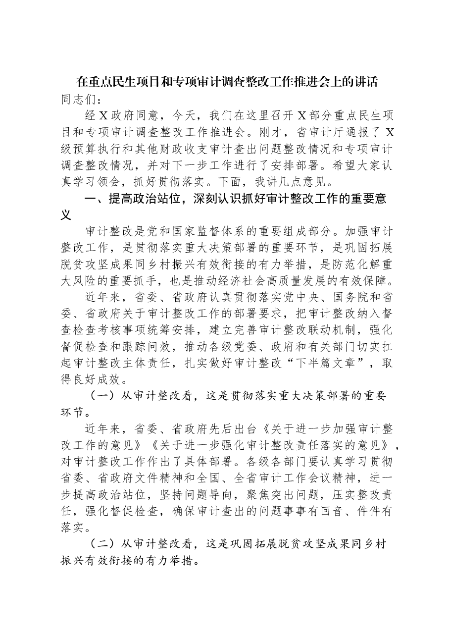在重点民生项目和专项审计调查整改工作推进会上的讲话.docx,第1页预览