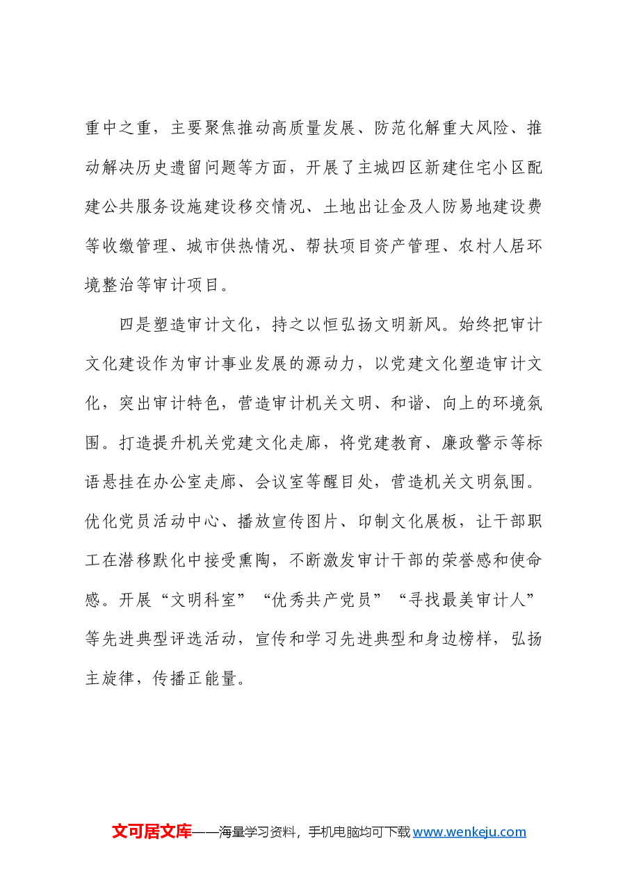 市审计局党组书记交流发言:党建引领 品牌聚能 推动审计工作高质量发展.docx,第3页预览