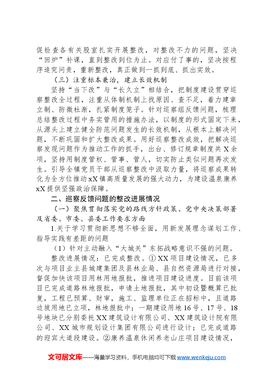 2024乡镇部门巡察整改报告.docx,第2页预览