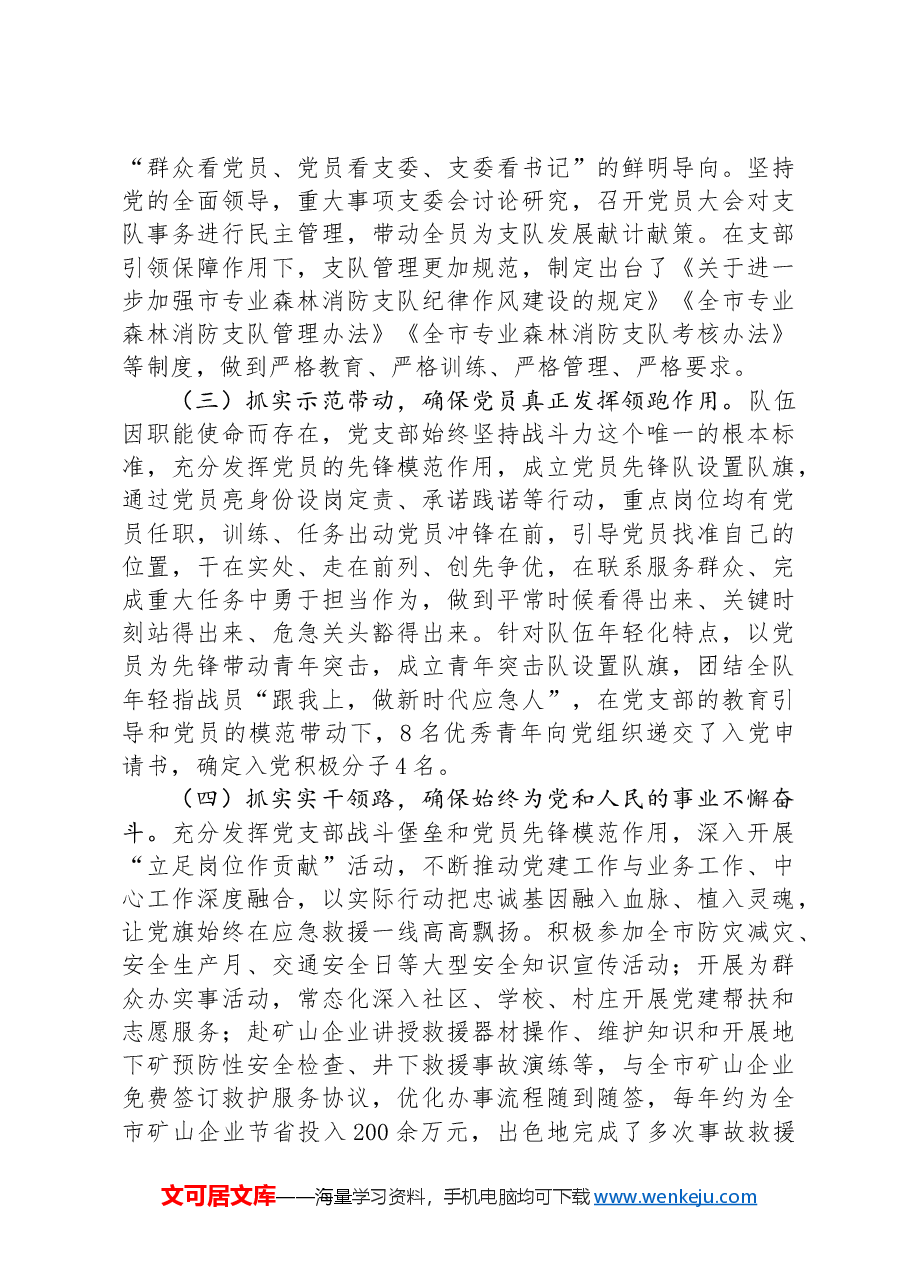 消防支队党支部关于落实全面从严治党主体责任情况的报告.docx,第2页预览