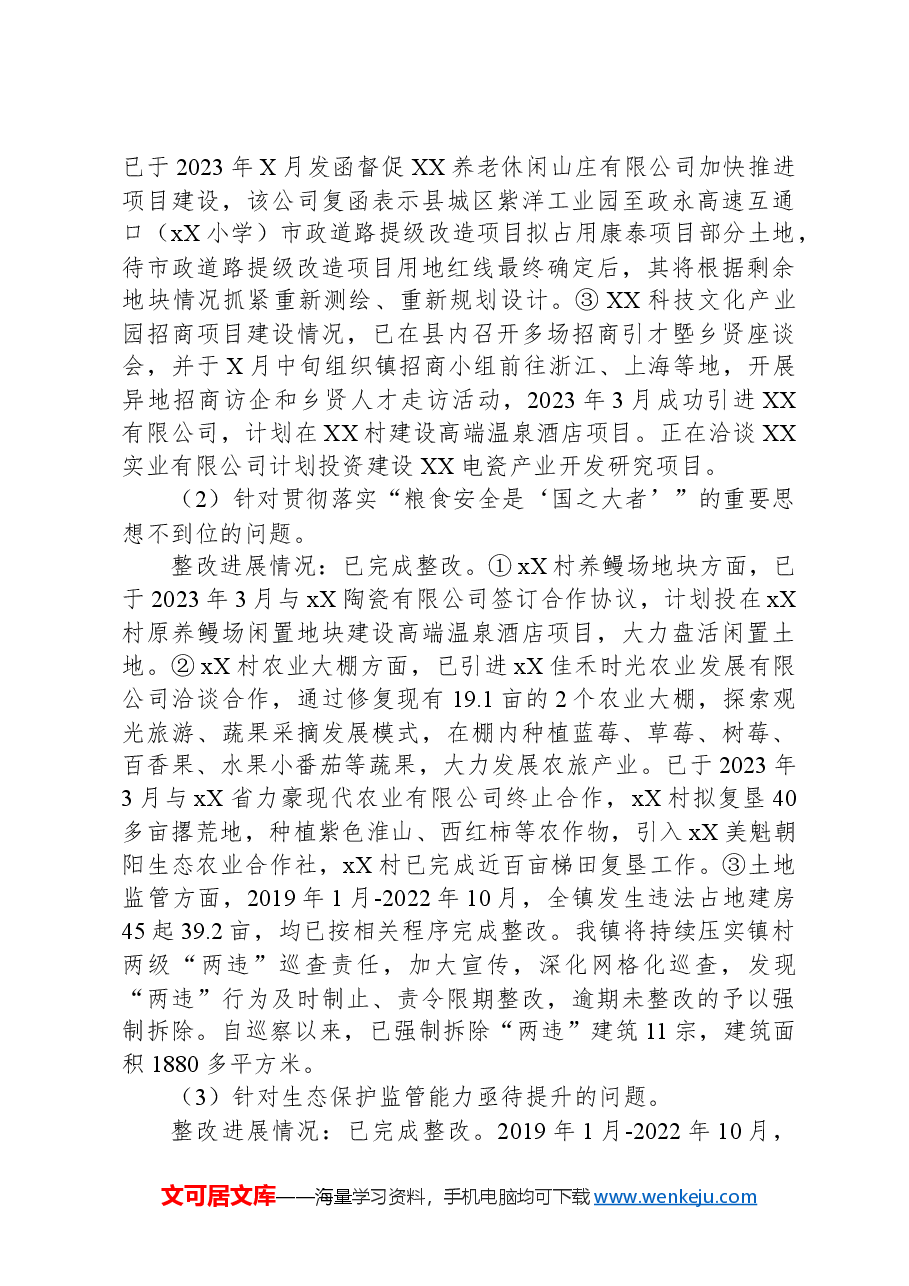 2024乡镇部门巡察整改报告.docx,第3页预览