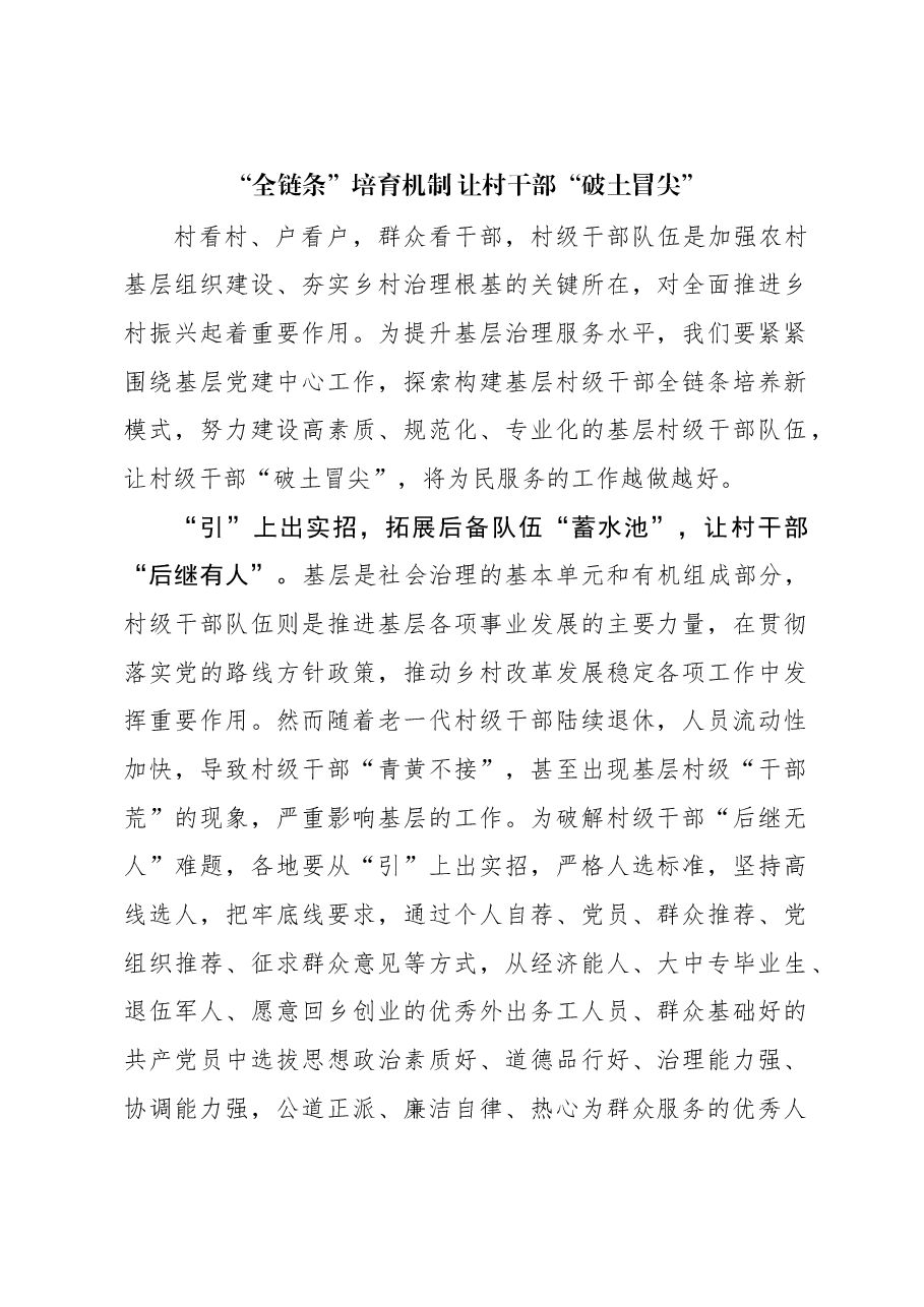 “全链条”培育机制 让村干部“破土冒尖”.docx,第1页预览