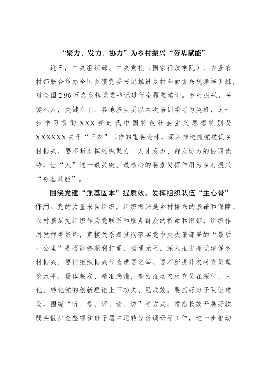 “聚力、发力、协力”为乡村振兴“夯基赋能”.docx,第1页预览