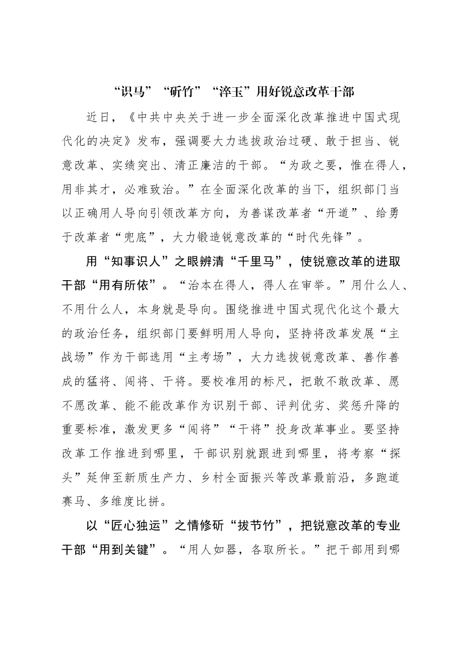 “识马”“斫竹”“淬玉”用好锐意改革干部.docx,第1页预览
