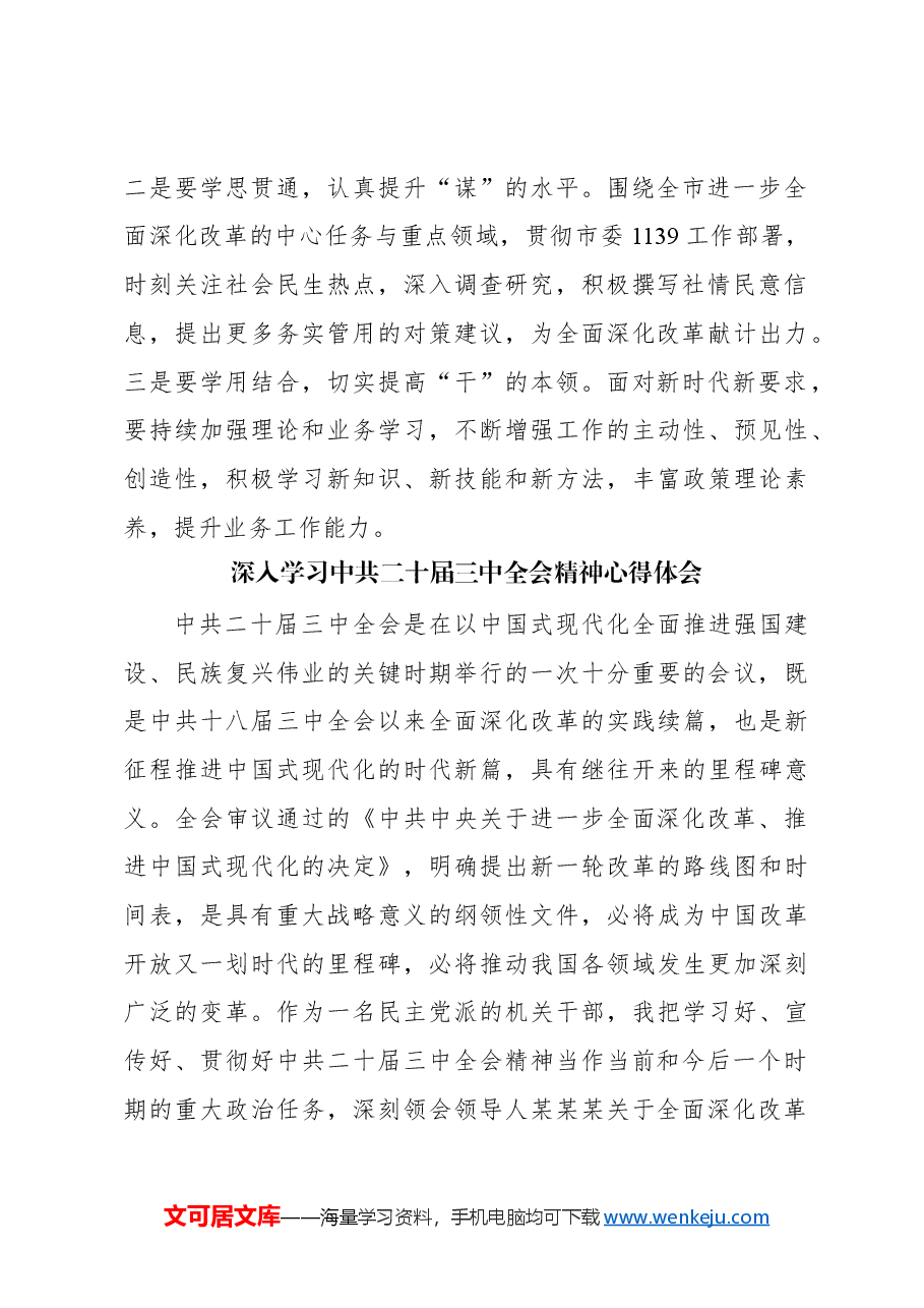 (13篇)市民建学习二十届三中全会精神心得体会、研讨发言汇编.docx,第3页预览