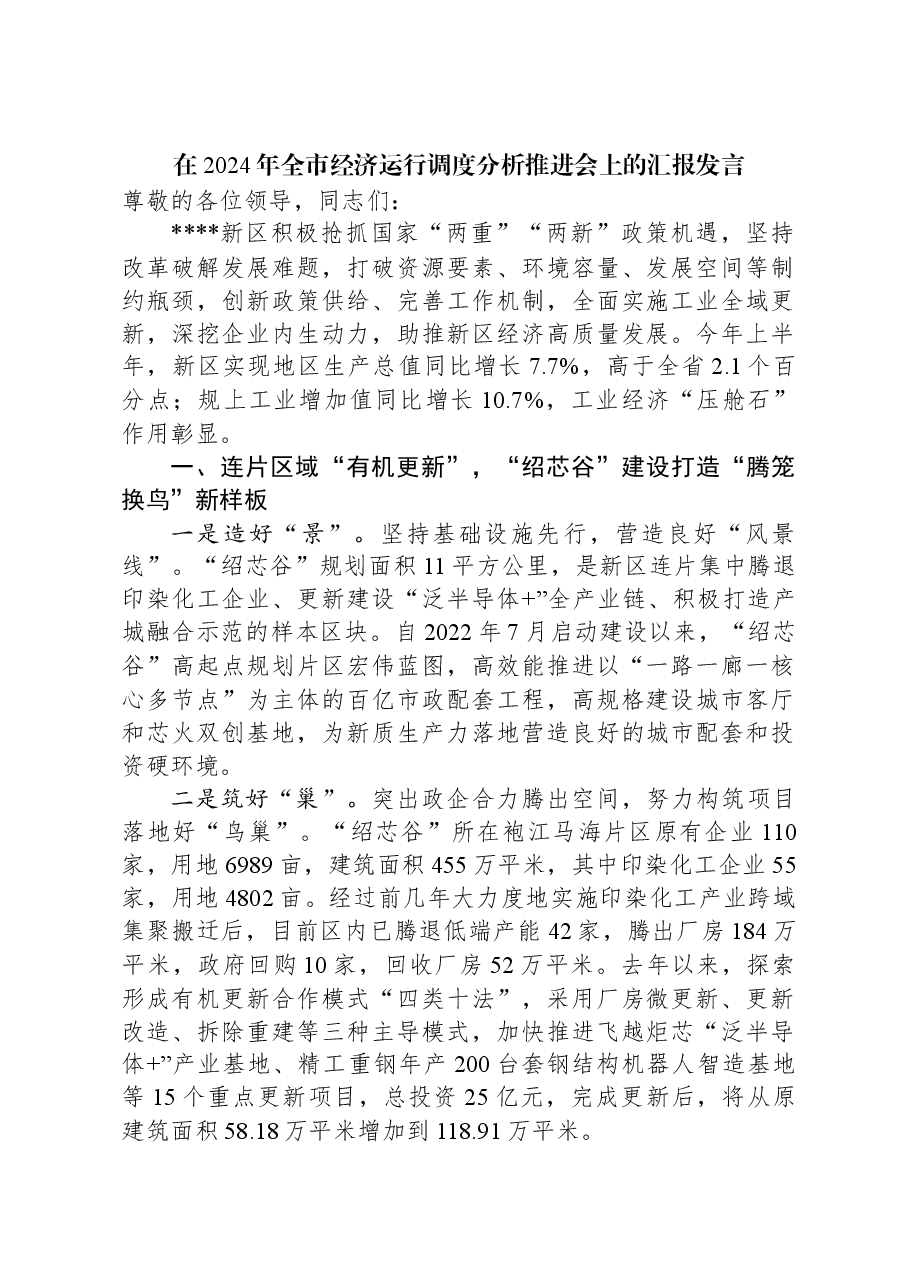 在2024年全市经济运行调度分析推进会上的汇报发言.docx,第1页预览