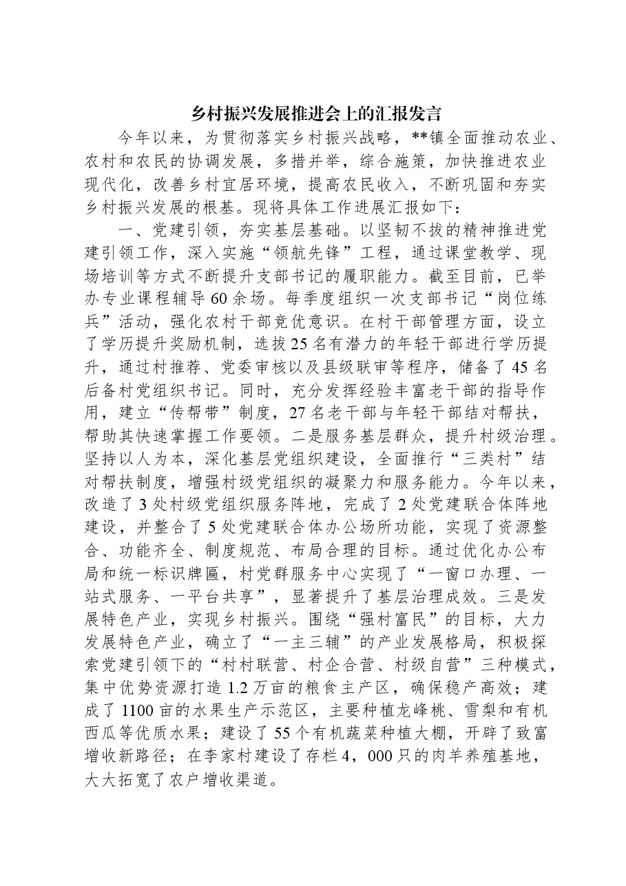 乡村振兴发展推进会上的汇报发言.docx,第1页预览