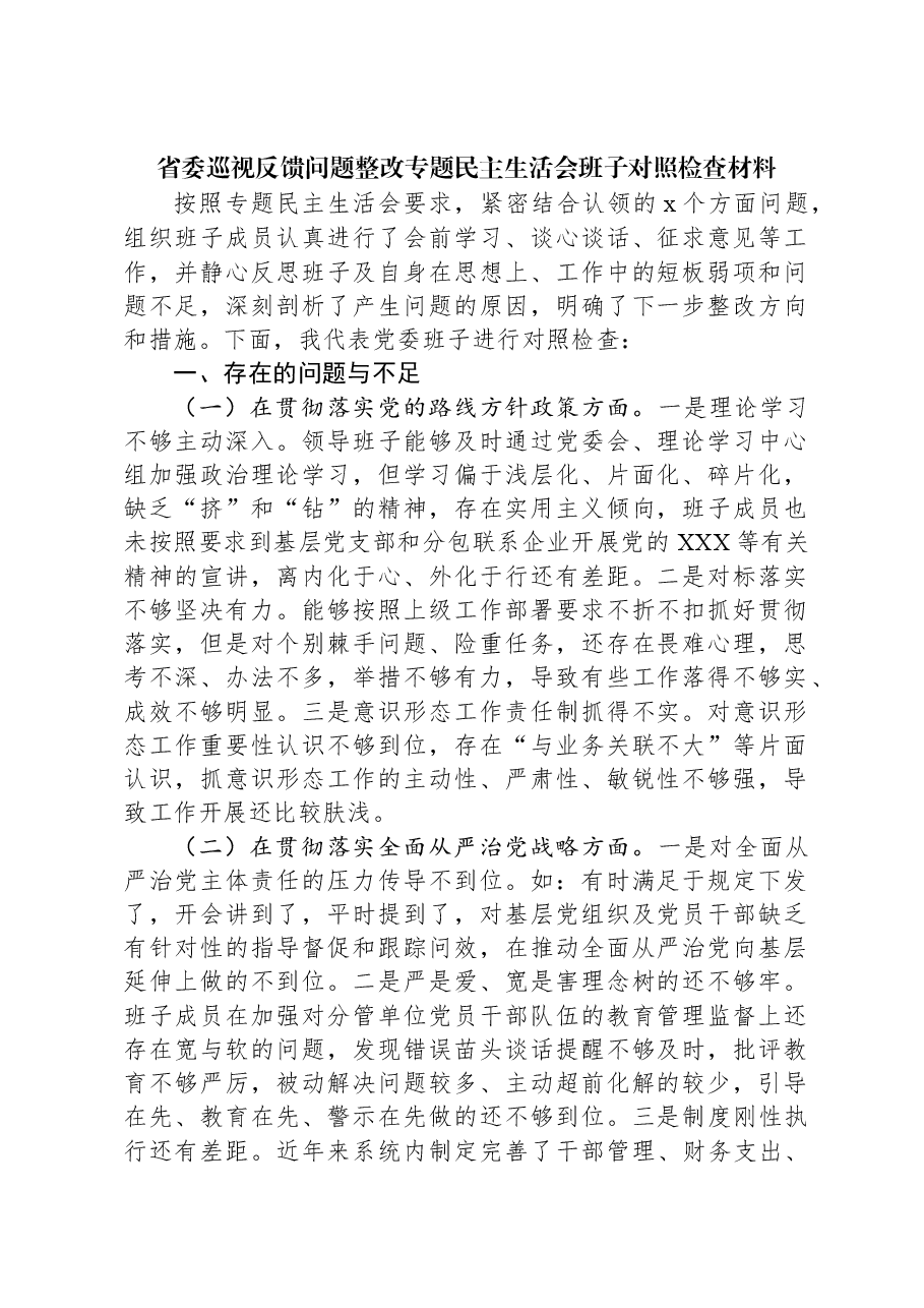 省委巡视反馈问题整改专题民主生活会班子对照检查材料.docx,第1页预览