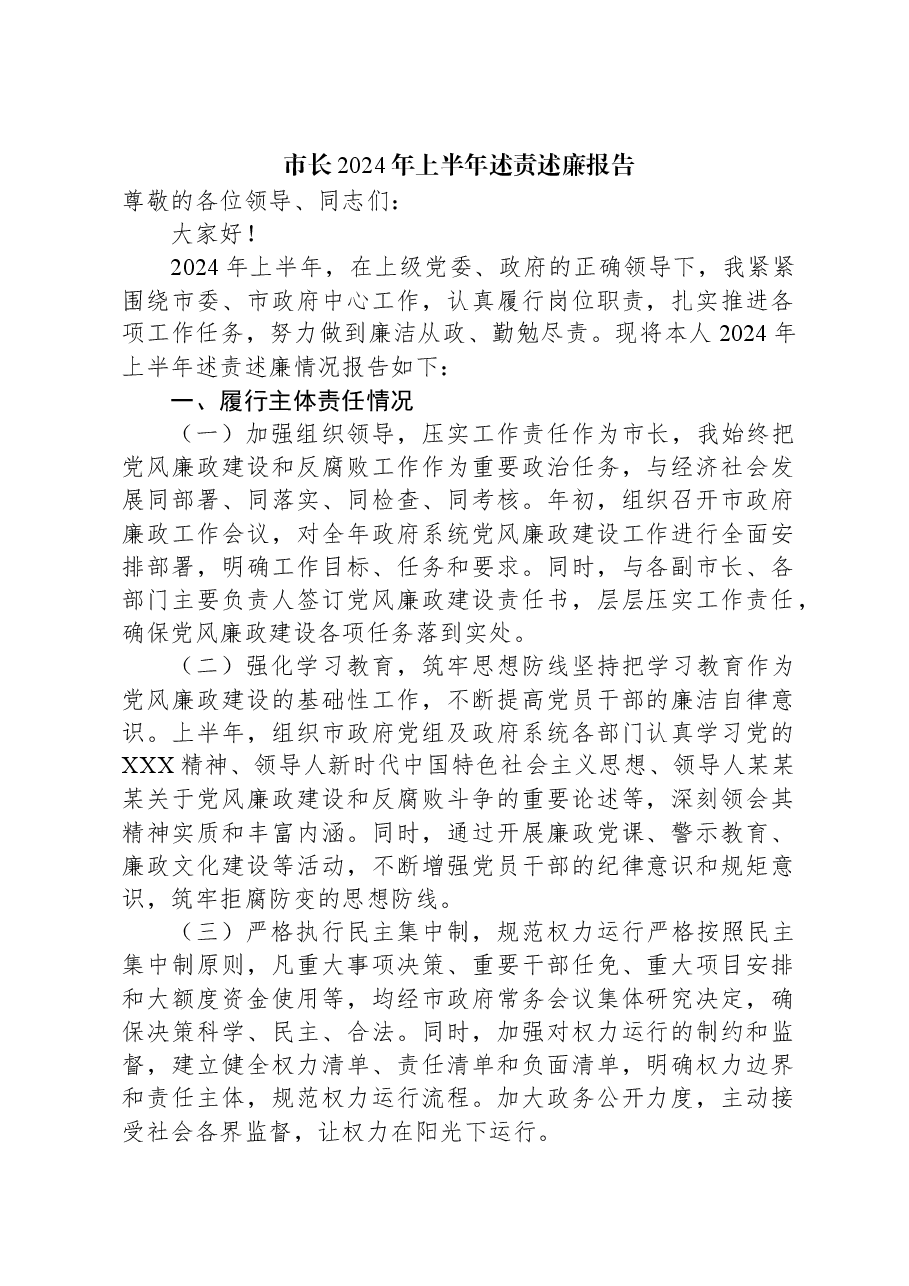 市长2024年上半年述责述廉报告.docx,第1页预览