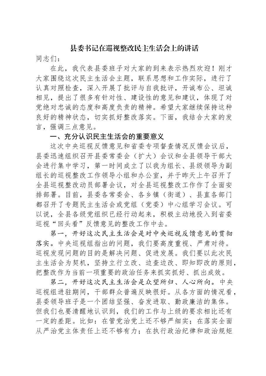 县委书记在巡视整改民主生活会上的讲话.docx,第1页预览