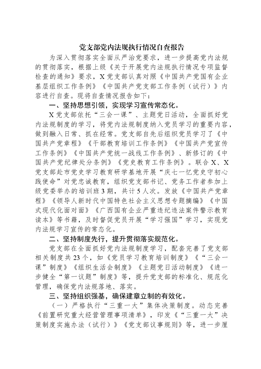 党支部党内法规执行情况自查报告.docx,第1页预览