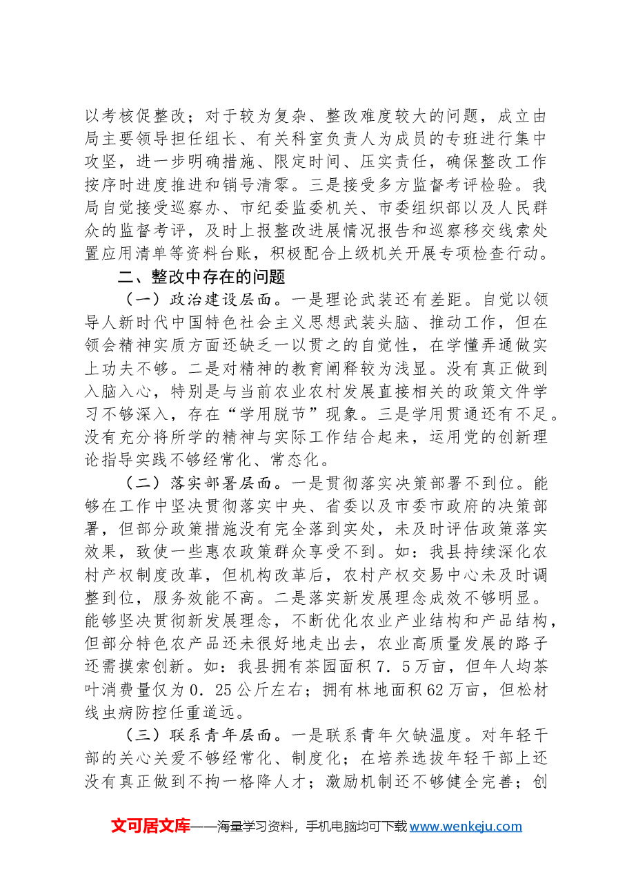 市农业农村局2024年巡察整改工作总结.docx,第2页预览