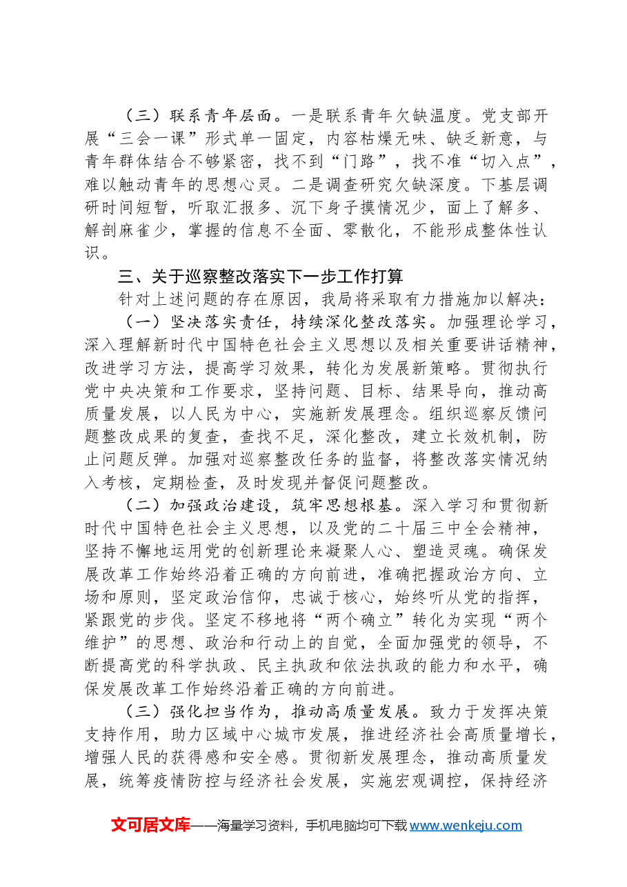 市发改局2024年巡察整改工作总结.docx,第3页预览