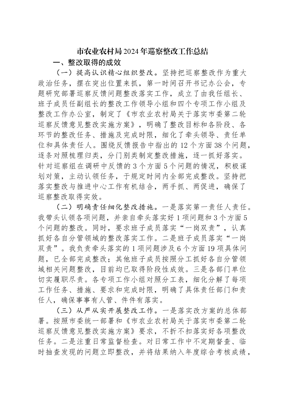 市农业农村局2024年巡察整改工作总结.docx,第1页预览