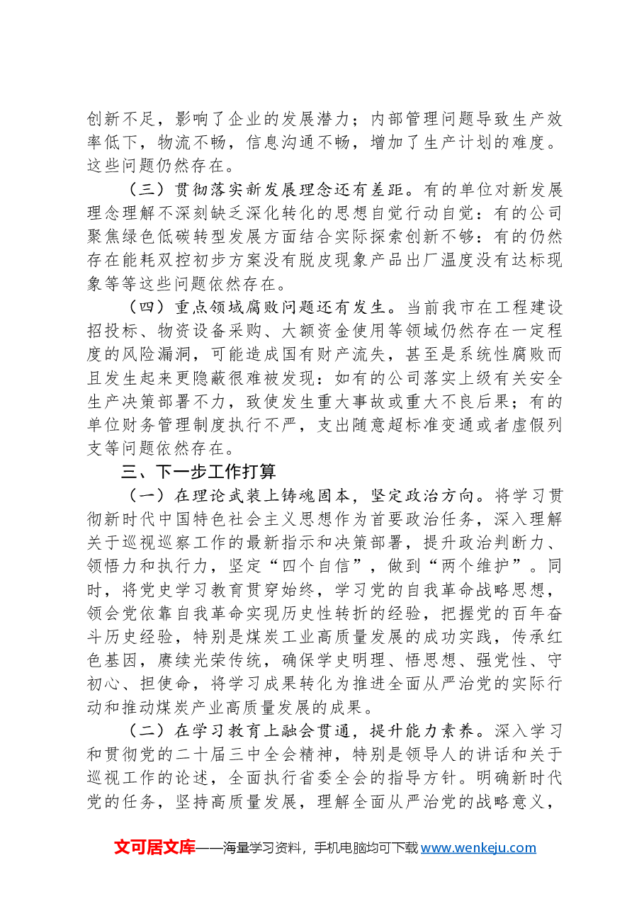 国有企业2024年巡察整改工作总结.docx,第4页预览