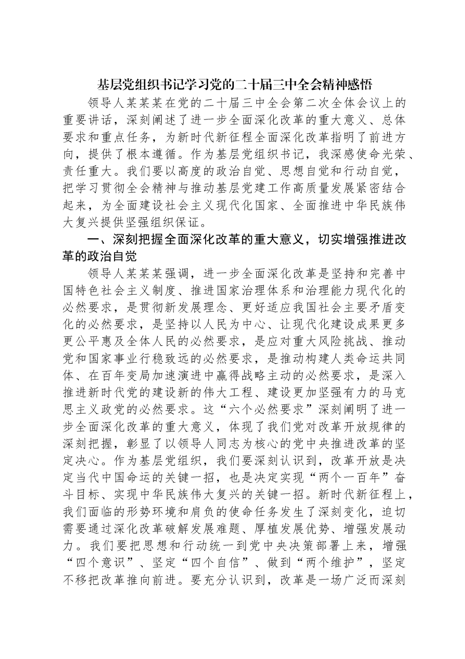 基层党组织书记学习党的二十届三中全会精神感悟.docx,第1页预览