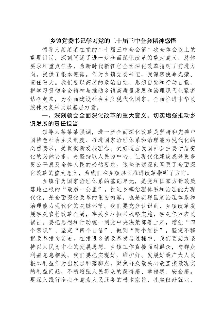 乡镇党委书记学习党的二十届三中全会精神感悟.docx,第1页预览