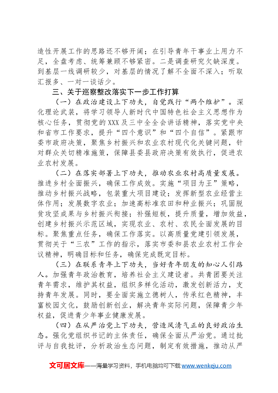 市农业农村局2024年巡察整改工作总结.docx,第3页预览