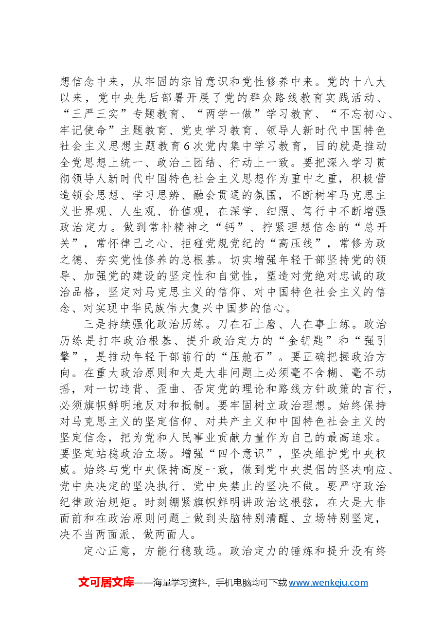 党课:增强政治定力展现新时代年轻干部精神风貌.docx,第4页预览