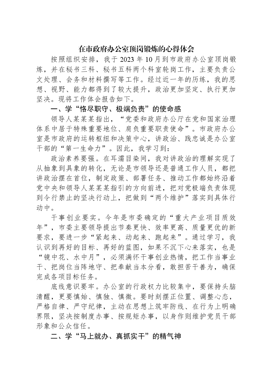 在市政府办公室顶岗锻炼的心得体会.docx,第1页预览