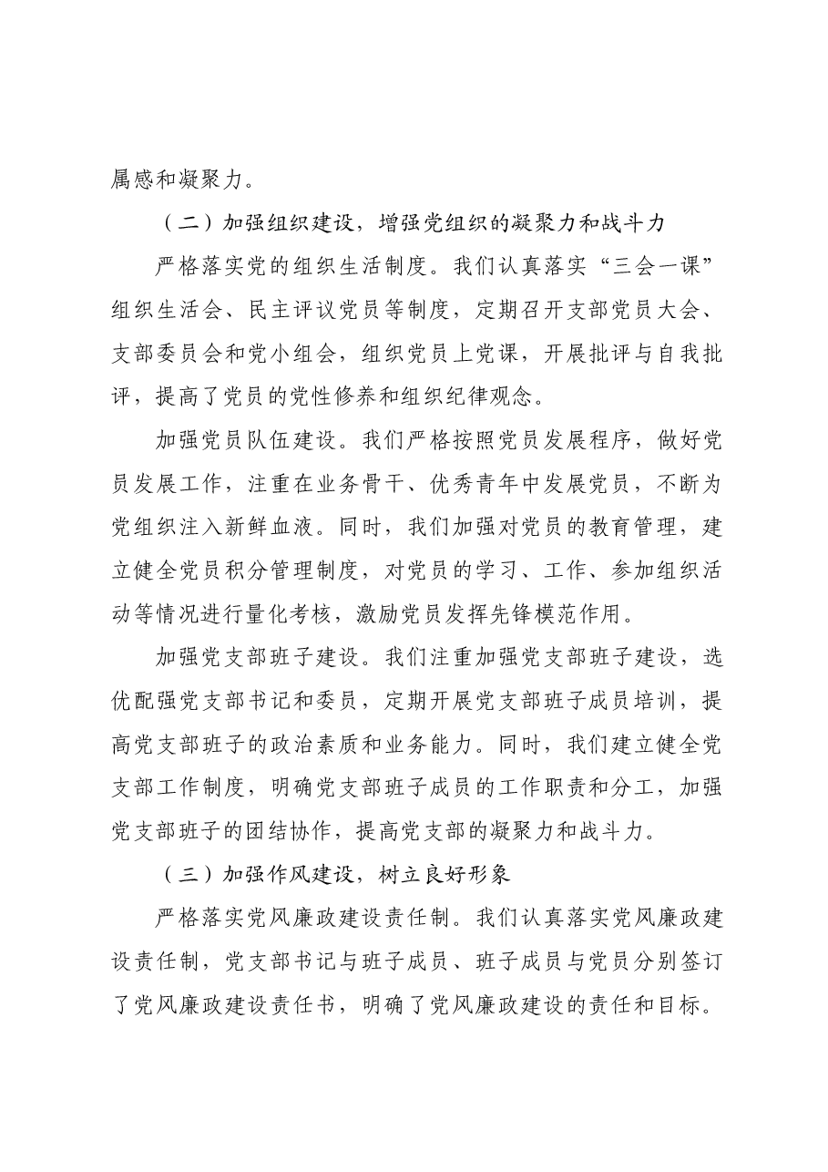 2024年党支部基层总结报告.docx,第2页预览